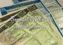 Renovação CNH 2021